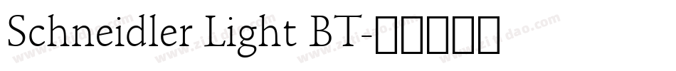 Schneidler Light BT字体转换